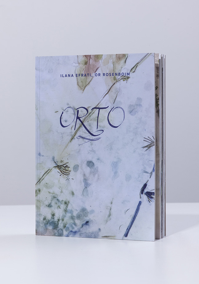 orto_02